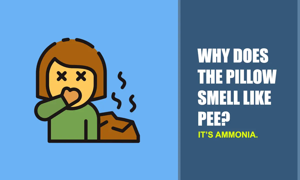 The Daily Bed Helping People Sleep & Live Better