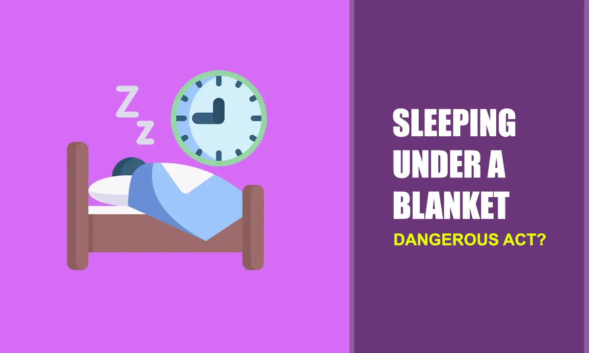 The Daily Bed Helping People Sleep & Live Better